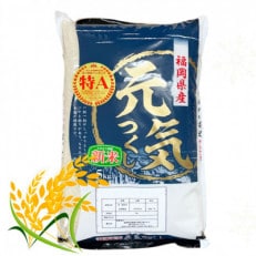 【新米・令和5年産】福岡県産ブランド米「元気つくし」白米5kg(春日市)