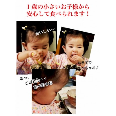 有明海産 海苔のふりかけ 10袋(春日市)