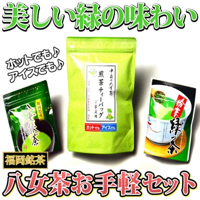 福岡銘茶八女茶 急須要らずのお手軽セット(便利なチャック付)(春日市)