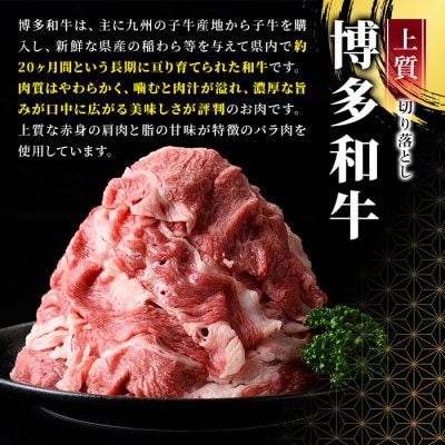 大満足!博多和牛切り落とし　1.2kg(600g×2p)(春日市)