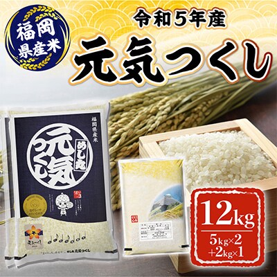 令和5年産　元気つくし12kg