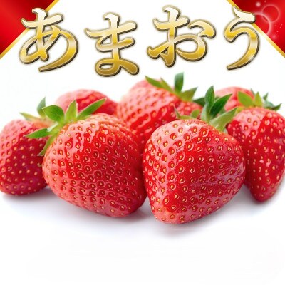 【2月より順次発送】福岡県産 あまおう 500g(250g×2パック)(春日市)