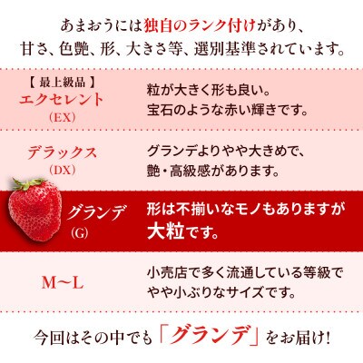 【2月より順次発送】福岡県産 あまおう 500g(250g×2パック)(春日市)