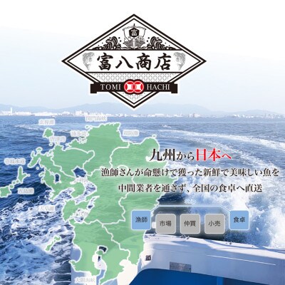 【2ヵ月毎定期便】【訳あり】福岡直送 辛子明太子(切れ子) 600g 無着色(春日市)全6回