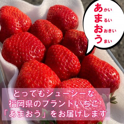 農家が送る新鮮いちご「あまおう」デラックスパック!約250g×4パック