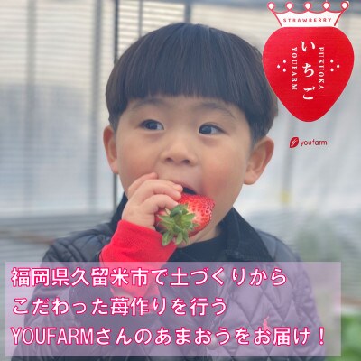 農家が送る新鮮いちご「あまおう」デラックスパック!約250g×4パック
