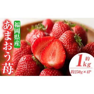 【数量限定!2026年3月以降発送予定】フルーツ専門店が選んだ「あまおう苺」春4パック(春日市)