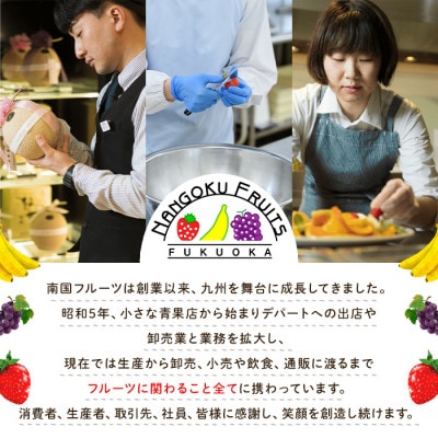【数量限定!2026年3月以降発送予定】フルーツ専門店が選んだ「あまおう苺」春4パック(春日市)