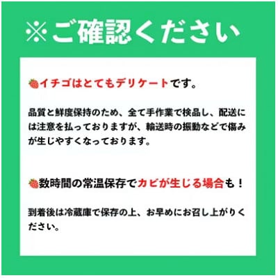【数量限定!2026年3月以降発送予定】フルーツ専門店が選んだ「あまおう苺」春4パック(春日市)