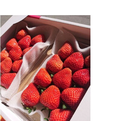 【2026年2月上旬より順次発送】福岡県産あまおうDX(デラックス) 約280g×4パック(春日市)