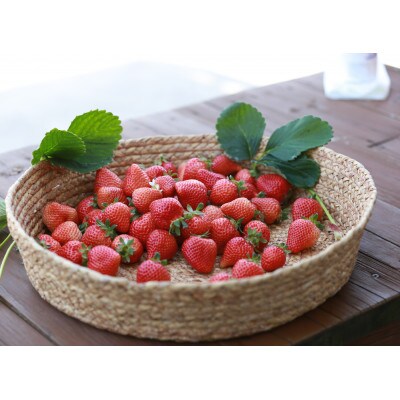 【2026年2月上旬より順次発送】福岡県産あまおうDX(デラックス) 約280g×4パック(春日市)