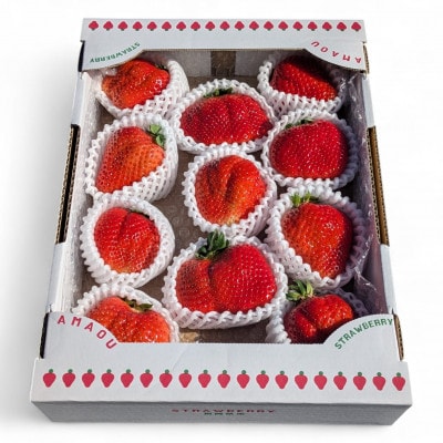 選ばれし一粒・特撰プレミアムあまおう 約600g(春日市)