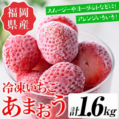 福岡ブランドあまおう【訳あり】冷凍いちご1600g(春日市)