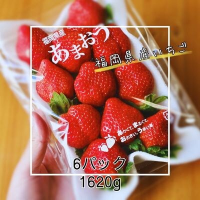 【先行受付】いちごの王様【あまおうグランデサイズ】3玉～15玉(6P)【1月より順次発送】(春日市)
