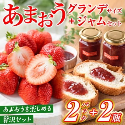 【先行受付】いちご満喫　あまおう2パック&あまおうジャム2瓶のセット【1月より順次発送】(春日市)