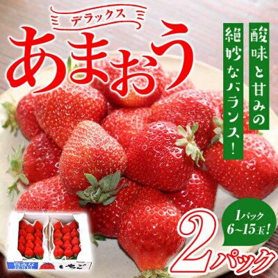 【先行受付】いちごの王様【あまおうデラックス】6玉～15玉(2パック)【1月より順次発送】(春日市)