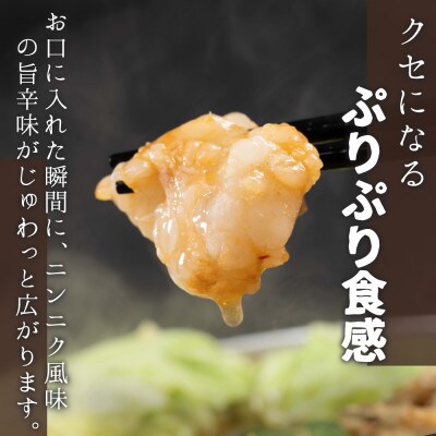 味付きもつ鍋セット 2人前(もつ200g) 濃縮醤油スープ(春日市)