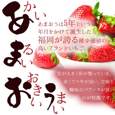 あまおうチーズケーキ(260g×1本)(春日市)