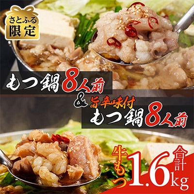 【さとふる限定】もつ鍋食べ比べセット!16人前(生もつ・味付けもつ)牛もつ合計1.6kg(春日市)
