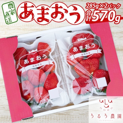 【先行受付】あまおうスタンダード2パック　570g(春日市)