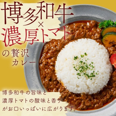 100%博多和牛のキーマカレー (180g×3パック)(春日市)