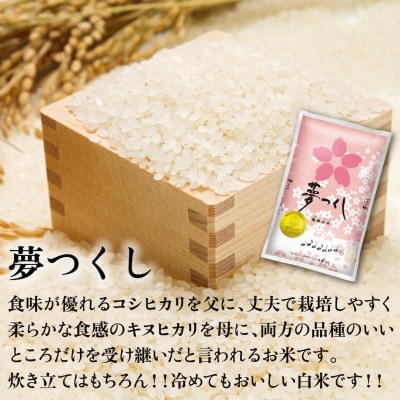 新米!!令和6年産 福岡県産米 (夢つくし・元気つくし) 合計30kg 各5kg×3袋(春日市)
