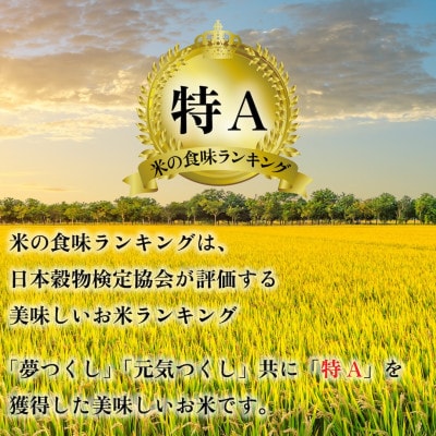 新米!!令和6年産 福岡県産米 (夢つくし・元気つくし) 合計30kg 各5kg×3袋(春日市)