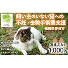 【返礼品なし】飼い主のいないねこと地域の人が幸せに暮らせるまちづくり支援