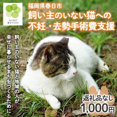 【返礼品なし】飼い主のいないねこと地域の人が幸せに暮らせるまちづくり支援