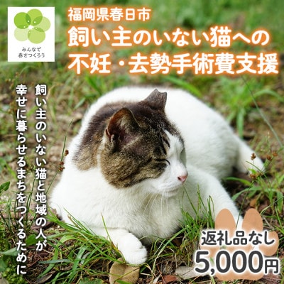 【返礼品なし】飼い主のいないねこと地域の人が幸せに暮らせるまちづくり支援(一口5,000円)