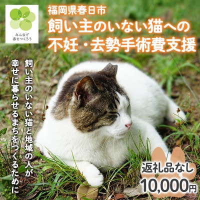 【返礼品なし】飼い主のいないねこと地域の人が幸せに暮らせるまちづくり支援(一口10,000円)