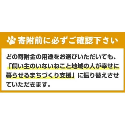 【返礼品なし】飼い主のいないねこと地域の人が幸せに暮らせるまちづくり支援(一口10,000円)