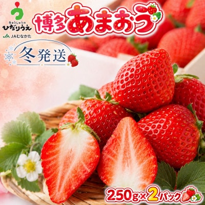 【2026年12月上旬～27年1月下旬発送予定】博多あまおう(冬)250g×2P(春日市)