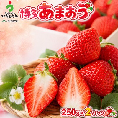 【2027年2月上旬～4月下旬発送予定】博多あまおう(春) 250g-270g×2パック(春日市)