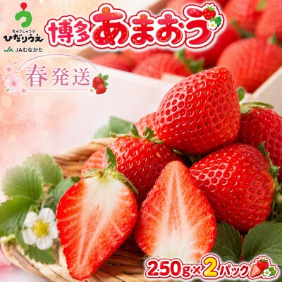 【2027年2月上旬～4月下旬発送予定】博多あまおう(春) 250g×2パック(春日市)