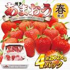 【2026年2月上旬～4月下旬発送予定】博多あまおう(春) 250g-270g×4パック(春日市)