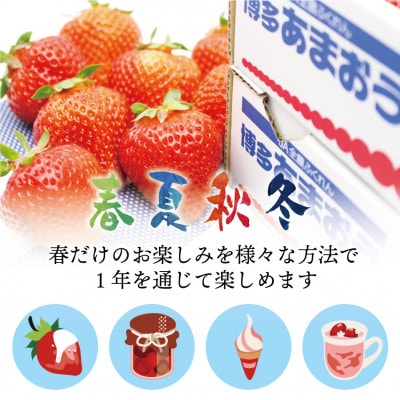 冷凍「博多あまおう」800g×2袋 計1.6kg(春日市)