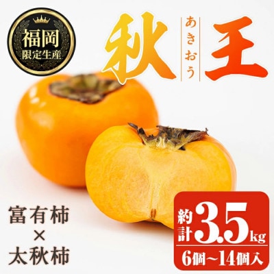 【2026年10月下旬～11月下旬発送予定】ブランド柿「秋王」約3.5kg(春日市)