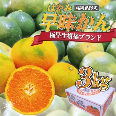 福岡県ブランドみかん「早味かん」3kg(春日市)
