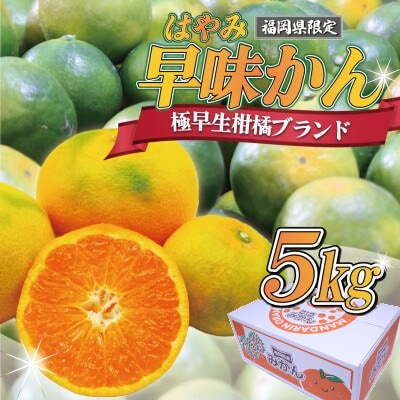 福岡県ブランドみかん「早味かん」5kg(春日市)