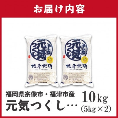 JAよりお届け!福岡県ブランド米「元気つくし」10kg(春日市)