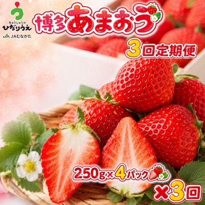 【発送月固定定期便】博多あまおう 250g×4パック(春日市)全3回