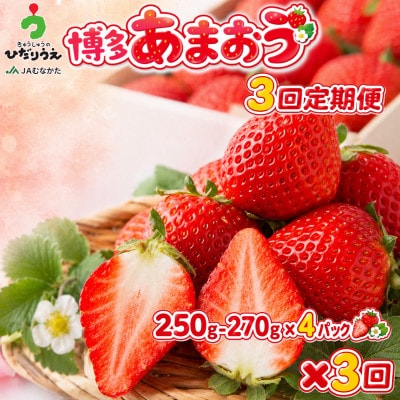 【発送月固定定期便】博多あまおう 250g-270g×4パック(春日市)全3回