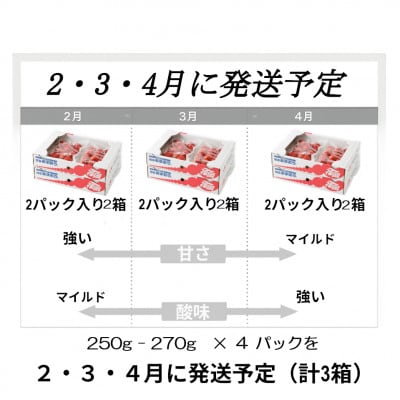 【発送月固定定期便】博多あまおう 250g-270g×4パック(春日市)全3回