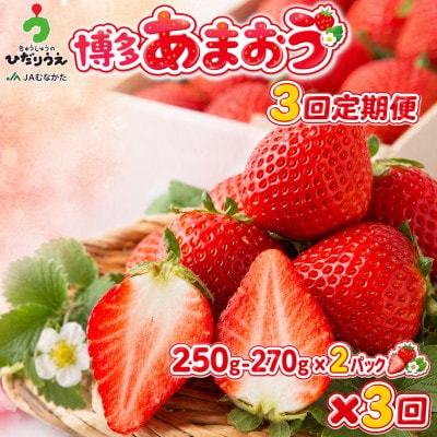 【発送月固定定期便】博多あまおう 250g-270g×2パック(春日市)全3回