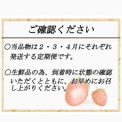 【発送月固定定期便】博多あまおう 250g×2パック(春日市)全3回