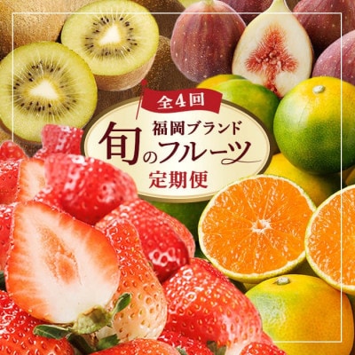 【発送月固定定期便】福岡ブランド果実を楽しむ。季節のご褒美フルーツ!(春日市)全4回