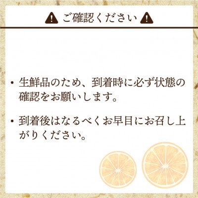 【発送月固定定期便】福岡ブランド果実を楽しむ。季節のご褒美フルーツ!(春日市)全4回