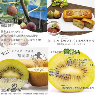 【発送月固定定期便】【さとふる限定】福岡ブランド果実を楽しむ。福岡の旬果と冷凍果実(春日市)全6回