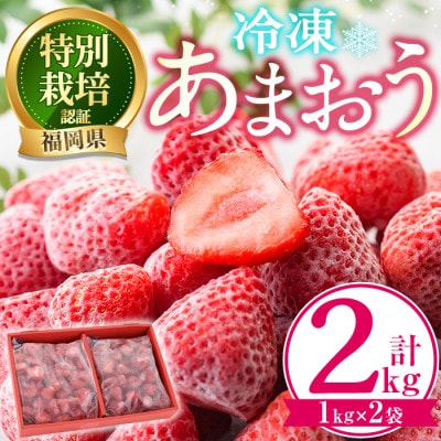 冷凍あまおう2kg(春日市)